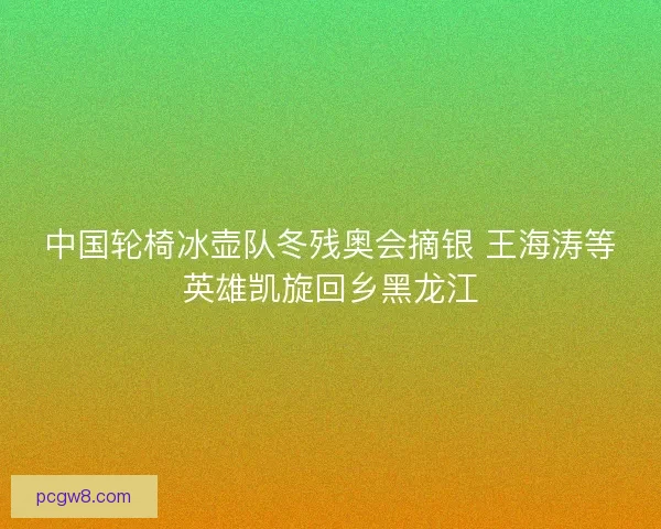 中国轮椅冰壶队冬残奥会摘银 王海涛等英雄凯旋回乡黑龙江